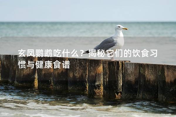 玄凤鹦鹉吃什么？揭秘它们的饮食习惯与健康食谱