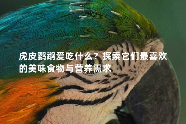 虎皮鹦鹉爱吃什么？探索它们最喜欢的美味食物与营养需求