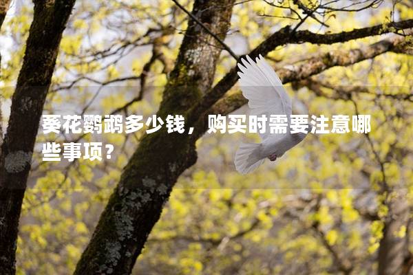 葵花鹦鹉多少钱，购买时需要注意哪些事项？
