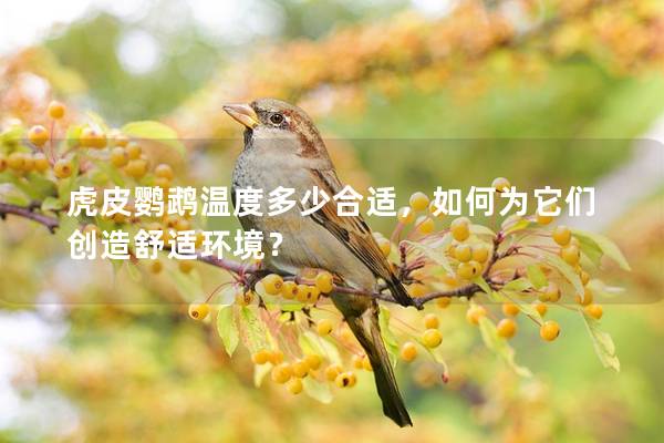 虎皮鹦鹉温度多少合适，如何为它们创造舒适环境？