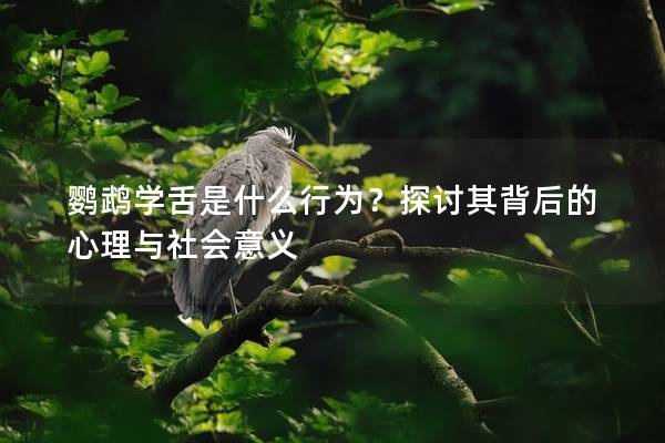 鹦鹉学舌是什么行为？探讨其背后的心理与社会意义