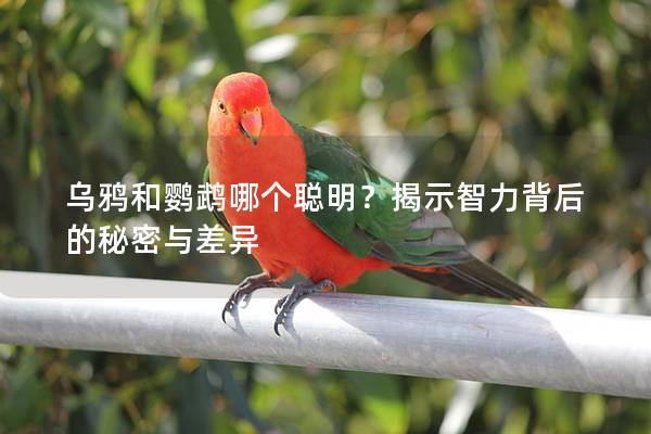 乌鸦和鹦鹉哪个聪明？揭示智力背后的秘密与差异