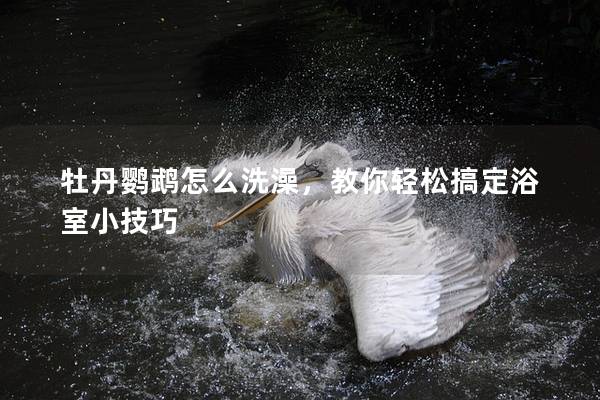 牡丹鹦鹉怎么洗澡，教你轻松搞定浴室小技巧