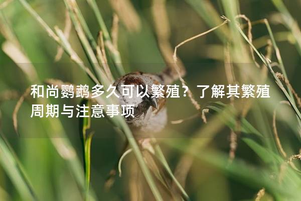 和尚鹦鹉多久可以繁殖？了解其繁殖周期与注意事项