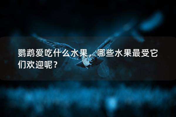 鹦鹉爱吃什么水果，哪些水果最受它们欢迎呢？