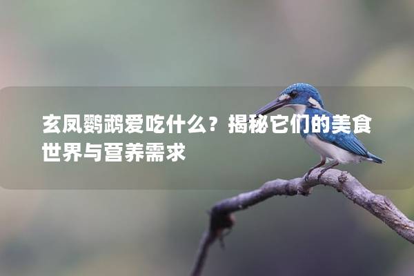 玄凤鹦鹉爱吃什么？揭秘它们的美食世界与营养需求