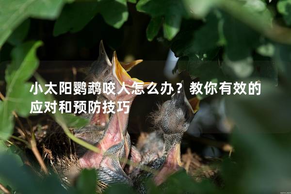 小太阳鹦鹉咬人怎么办？教你有效的应对和预防技巧