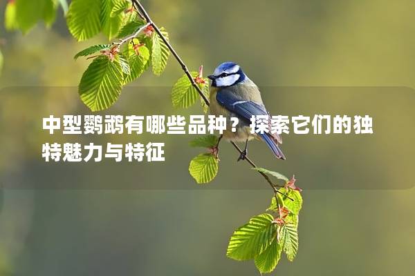 中型鹦鹉有哪些品种？探索它们的独特魅力与特征