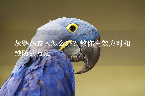 灰鹦鹉咬人怎么办？教你有效应对和预防的方法