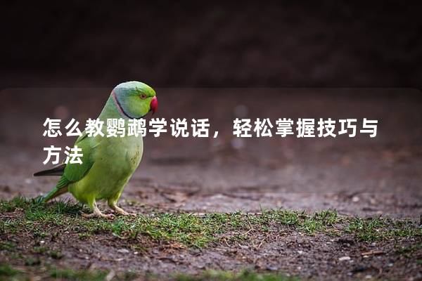 怎么教鹦鹉学说话，轻松掌握技巧与方法