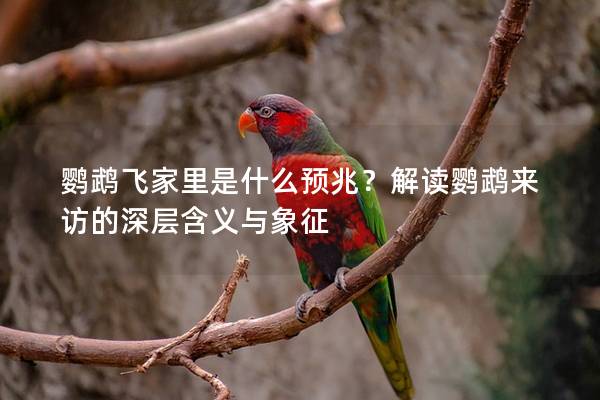 鹦鹉飞家里是什么预兆？解读鹦鹉来访的深层含义与象征