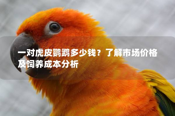 一对虎皮鹦鹉多少钱？了解市场价格及饲养成本分析