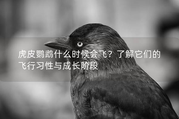 虎皮鹦鹉什么时候会飞？了解它们的飞行习性与成长阶段