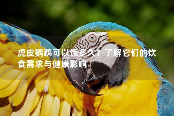 虎皮鹦鹉可以饿多久？了解它们的饮食需求与健康影响