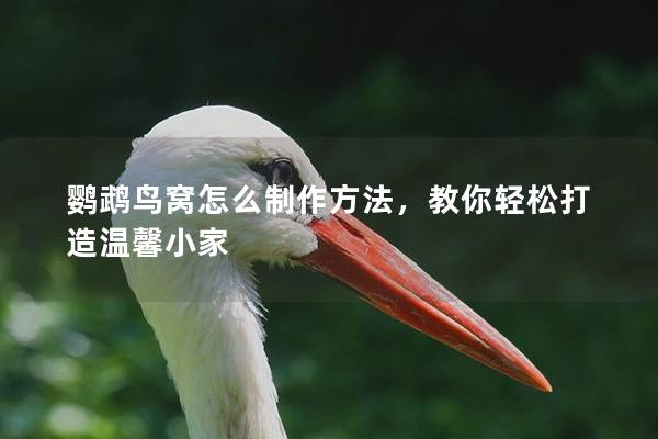 鹦鹉鸟窝怎么制作方法，教你轻松打造温馨小家