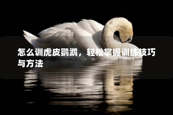 怎么训虎皮鹦鹉，轻松掌握训练技巧与方法