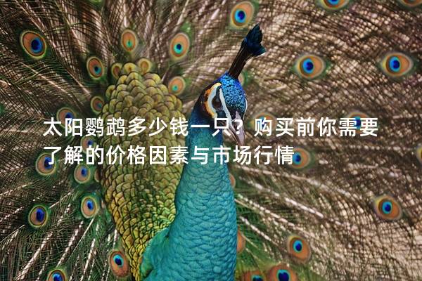 太阳鹦鹉多少钱一只？购买前你需要了解的价格因素与市场行情