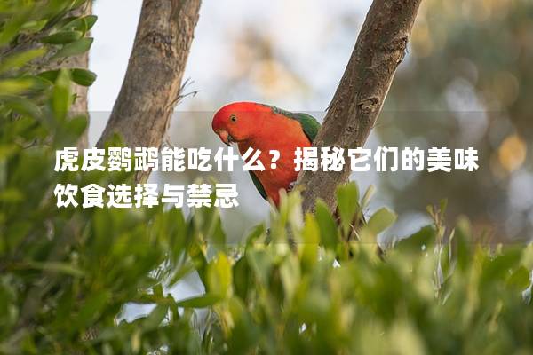 虎皮鹦鹉能吃什么？揭秘它们的美味饮食选择与禁忌
