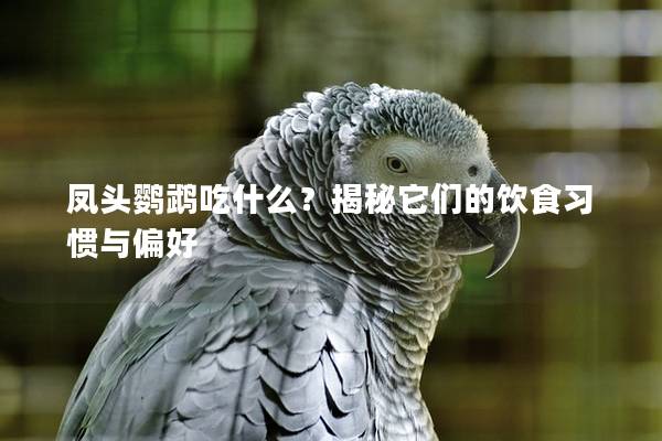 凤头鹦鹉吃什么？揭秘它们的饮食习惯与偏好