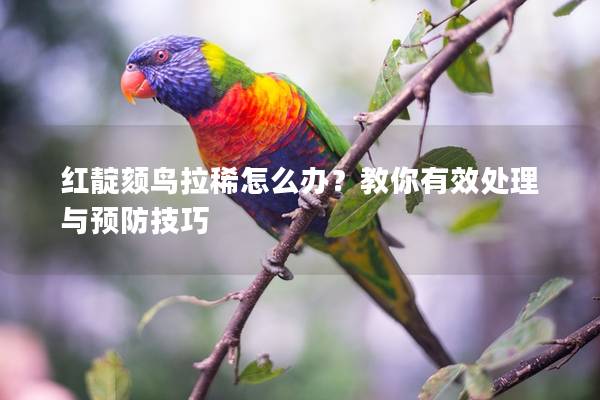 红靛颏鸟拉稀怎么办？教你有效处理与预防技巧