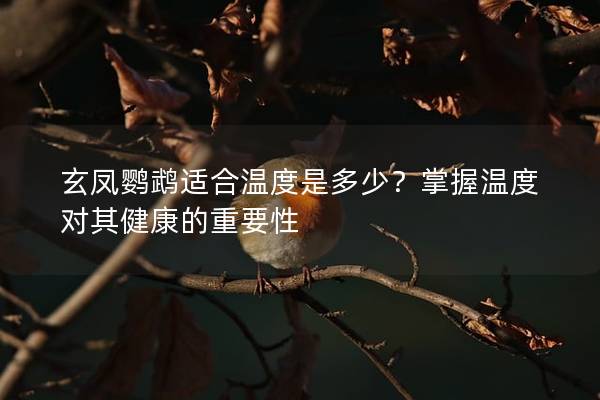 玄凤鹦鹉适合温度是多少？掌握温度对其健康的重要性