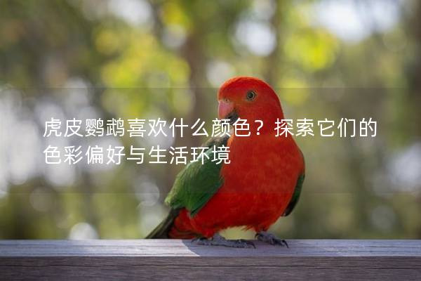 虎皮鹦鹉喜欢什么颜色？探索它们的色彩偏好与生活环境