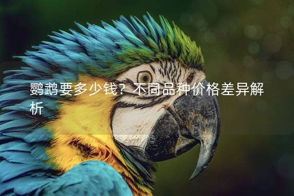 鹦鹉要多少钱？不同品种价格差异解析