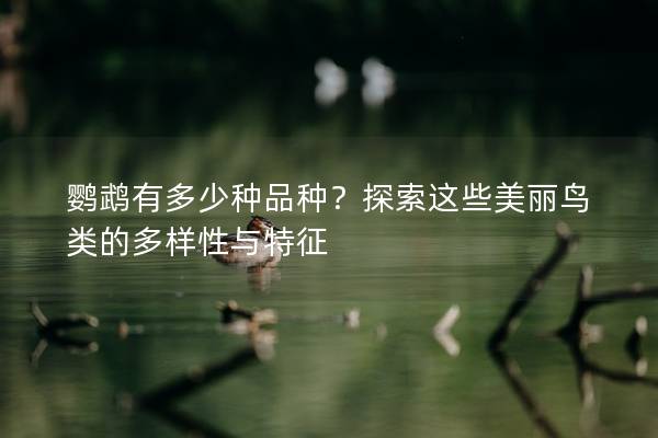 鹦鹉有多少种品种？探索这些美丽鸟类的多样性与特征