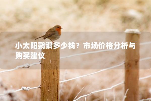 小太阳鹦鹉多少钱？市场价格分析与购买建议