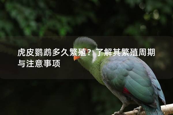 虎皮鹦鹉多久繁殖？了解其繁殖周期与注意事项