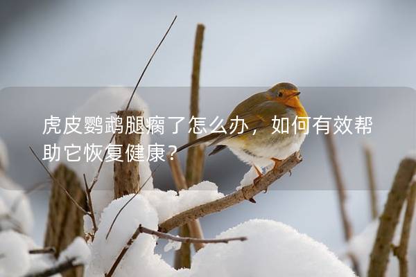 虎皮鹦鹉腿瘸了怎么办，如何有效帮助它恢复健康？