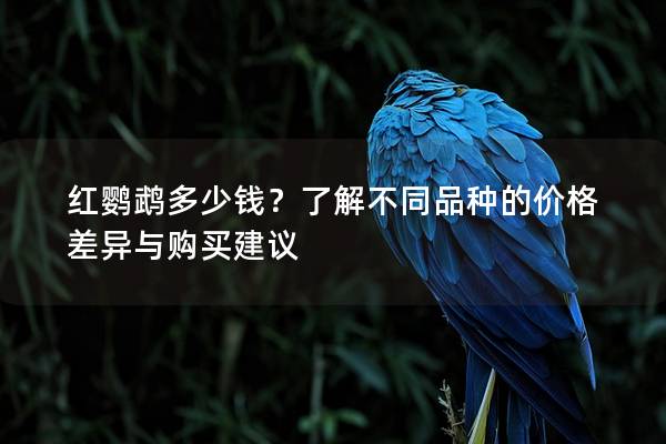 红鹦鹉多少钱？了解不同品种的价格差异与购买建议