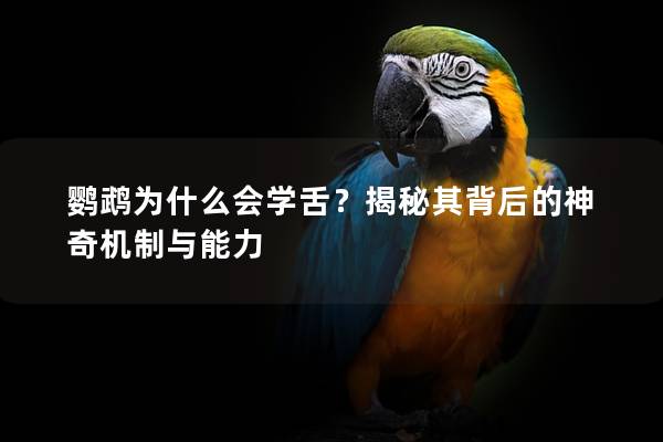 鹦鹉为什么会学舌？揭秘其背后的神奇机制与能力