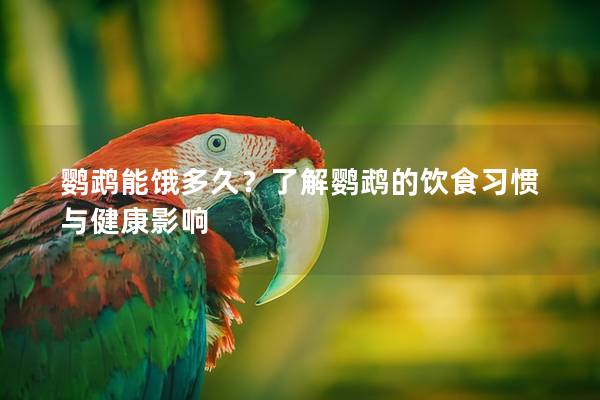 鹦鹉能饿多久？了解鹦鹉的饮食习惯与健康影响