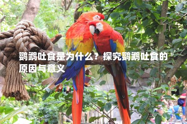 鹦鹉吐食是为什么？探究鹦鹉吐食的原因与意义