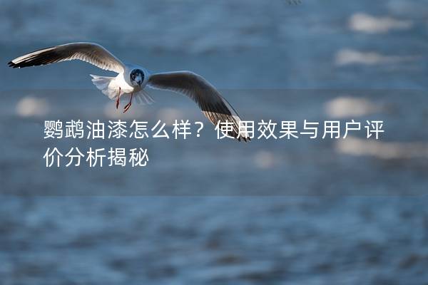鹦鹉油漆怎么样？使用效果与用户评价分析揭秘