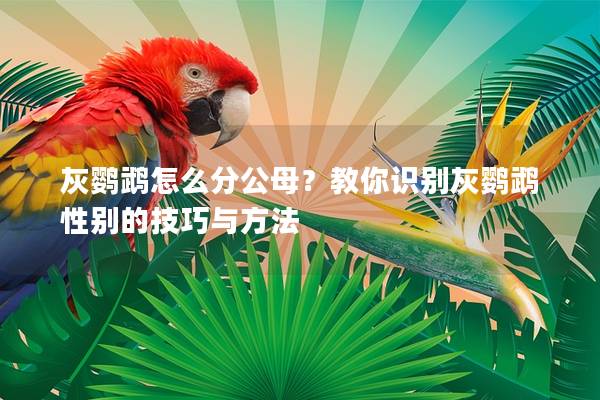 灰鹦鹉怎么分公母？教你识别灰鹦鹉性别的技巧与方法