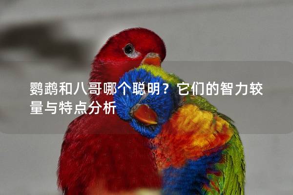 鹦鹉和八哥哪个聪明？它们的智力较量与特点分析