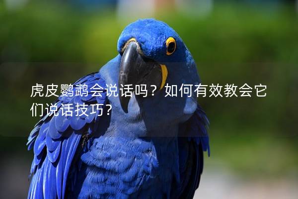 虎皮鹦鹉会说话吗？如何有效教会它们说话技巧？