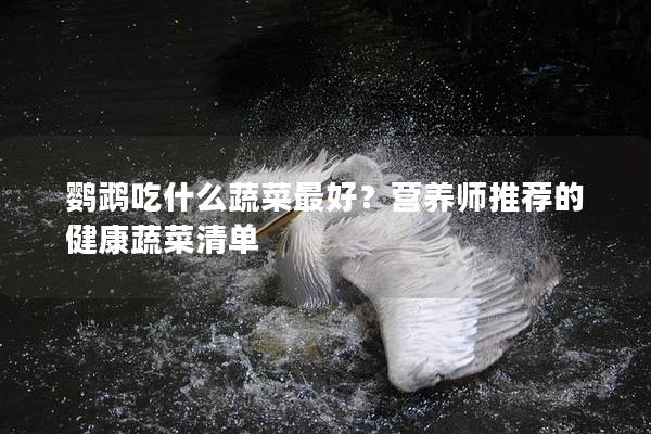 鹦鹉吃什么蔬菜最好？营养师推荐的健康蔬菜清单