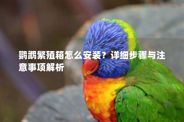 鹦鹉繁殖箱怎么安装？详细步骤与注意事项解析