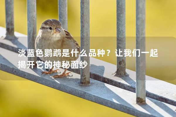 淡蓝色鹦鹉是什么品种？让我们一起揭开它的神秘面纱