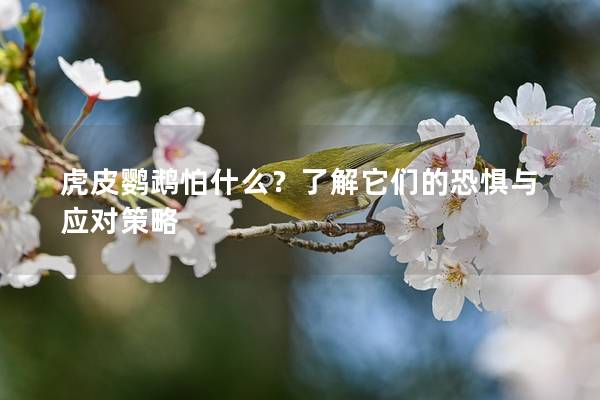 虎皮鹦鹉怕什么？了解它们的恐惧与应对策略