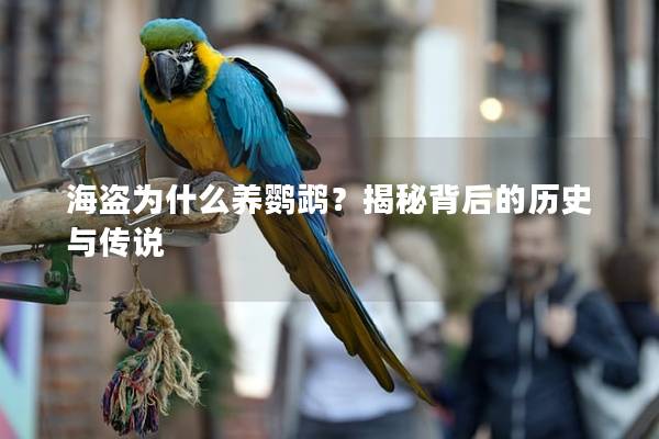 海盗为什么养鹦鹉？揭秘背后的历史与传说