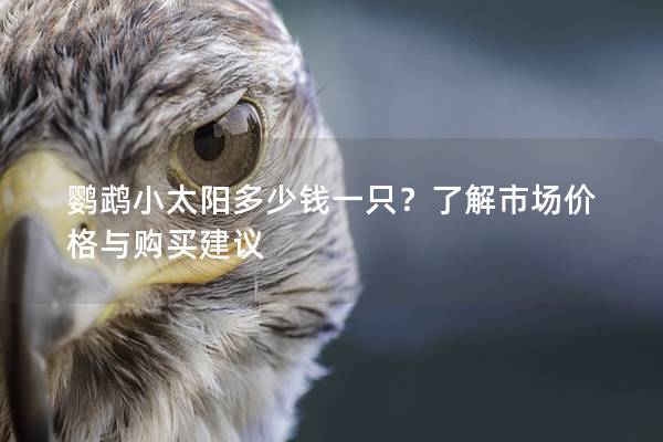 鹦鹉小太阳多少钱一只？了解市场价格与购买建议