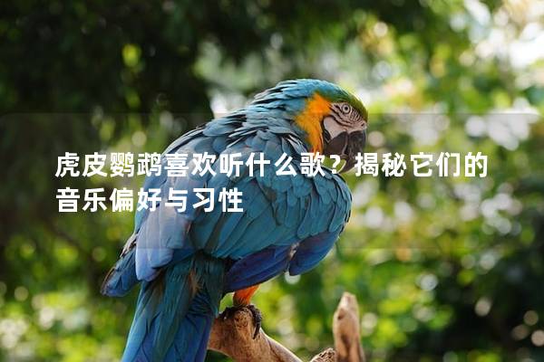 虎皮鹦鹉喜欢听什么歌？揭秘它们的音乐偏好与习性