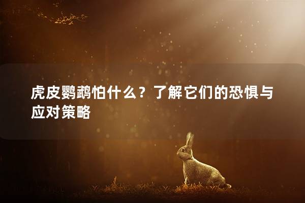 虎皮鹦鹉怕什么？了解它们的恐惧与应对策略