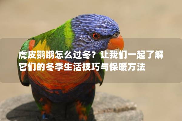 虎皮鹦鹉怎么过冬？让我们一起了解它们的冬季生活技巧与保暖方法