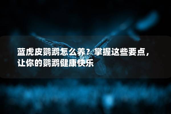 蓝虎皮鹦鹉怎么养？掌握这些要点，让你的鹦鹉健康快乐