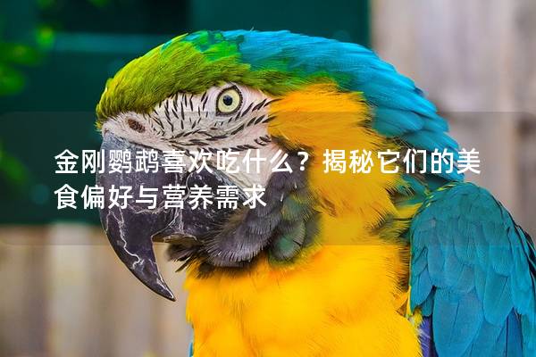 金刚鹦鹉喜欢吃什么？揭秘它们的美食偏好与营养需求